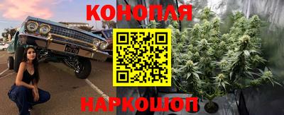 марихуана Ставрополь