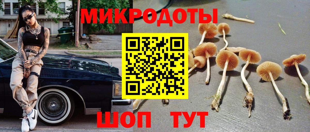 Псилоцибиновые грибы Psilocybine cubensis Партизанск
